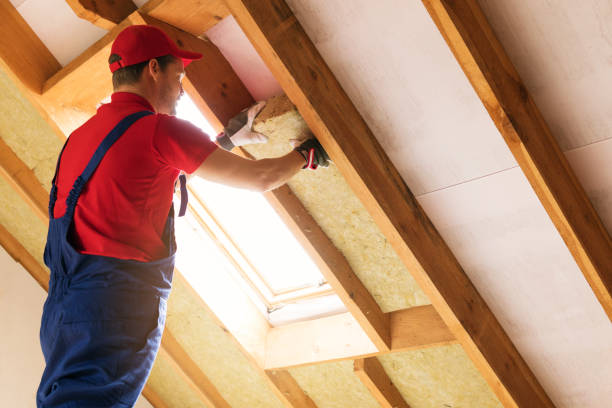 Best Spray Foam Insulation  in Oak Grove, MO